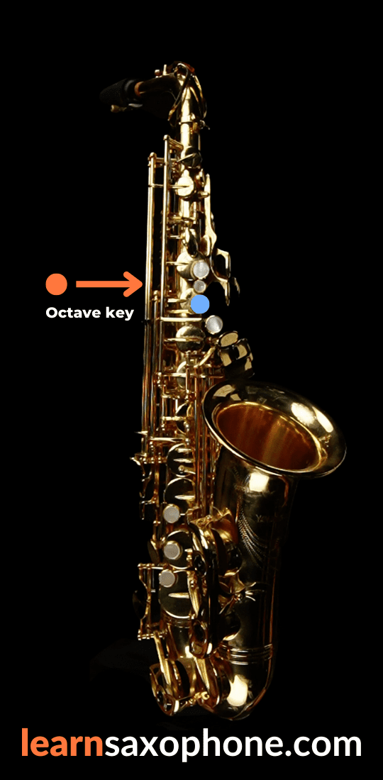 how-to-play-the-alto-saxophone-for-beginners