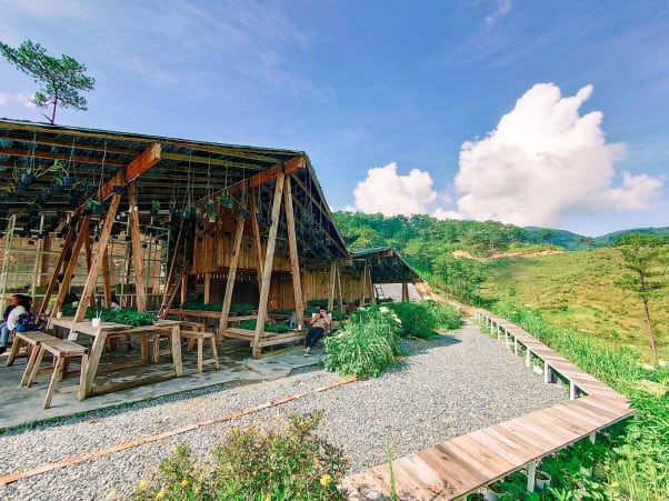 The Wilder-nest Cafe
