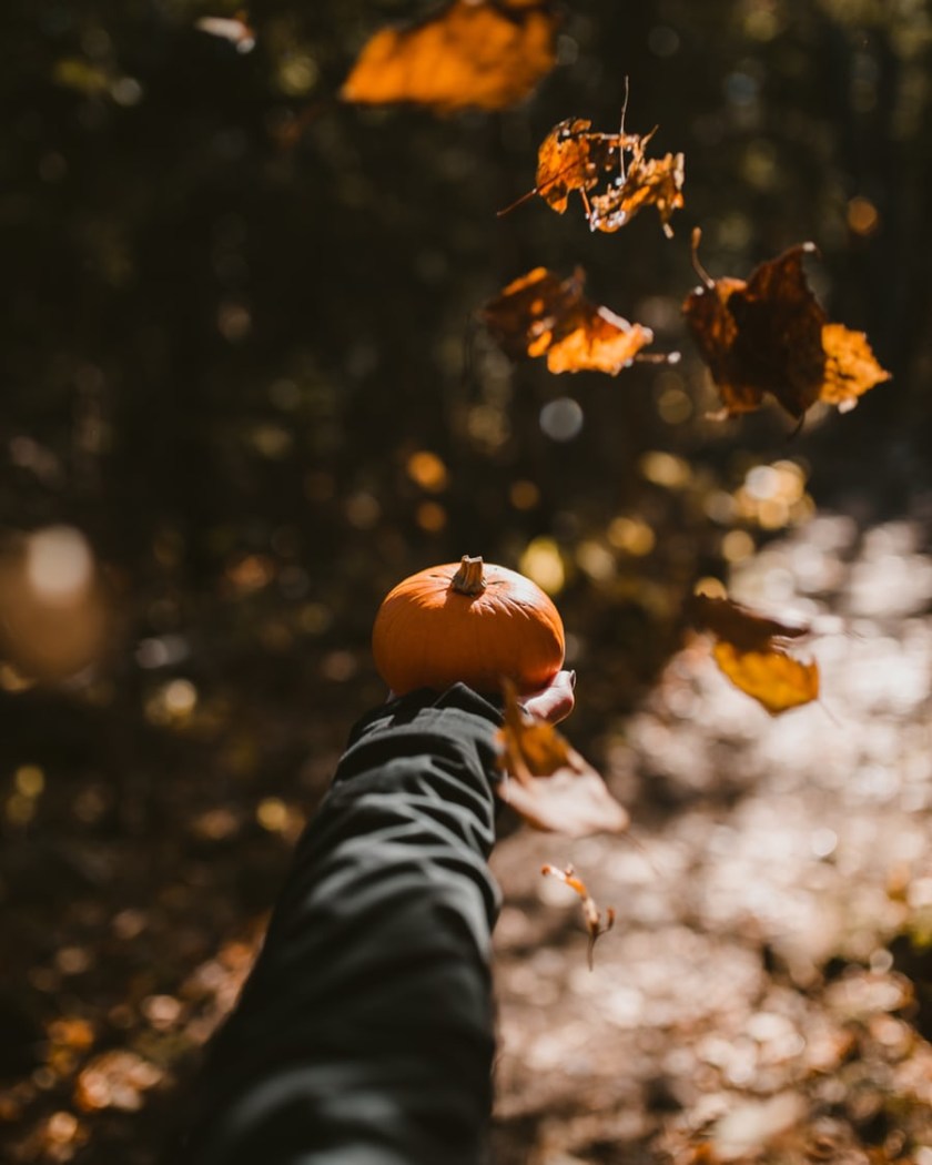 Fun fall activities for adults and kids alike in Minnesota