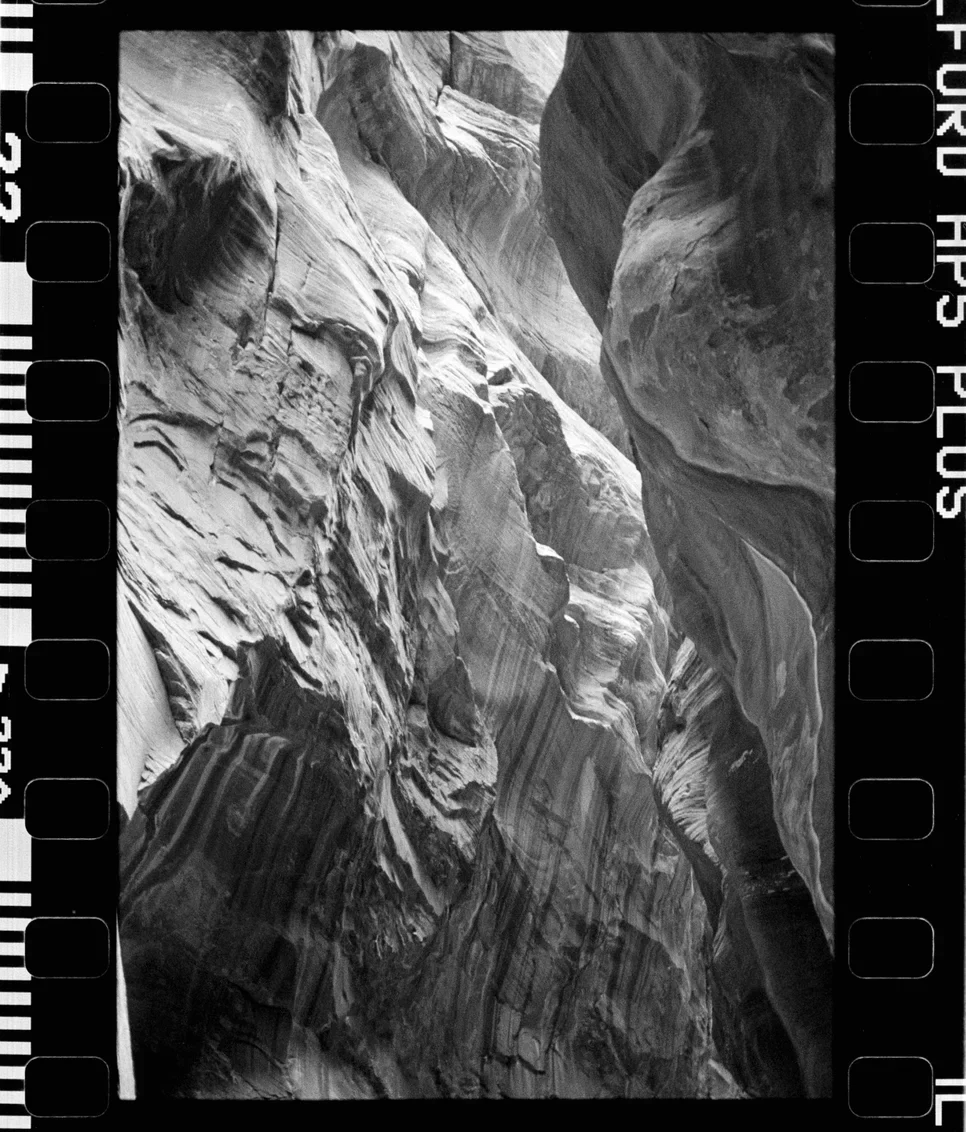 Pat Rice | The Independent Photographer