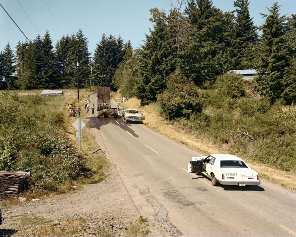 Joel Sternfeld: American Prospects | The Independent Photographer