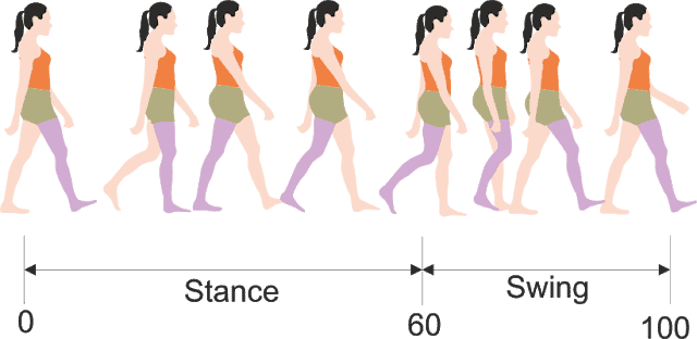 Limping Gait Definition : Gait Disorders: Types, Causes, and Treatment ...