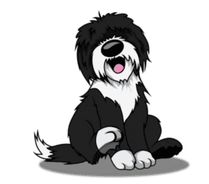 Best dog training services offered in Minneapolis Metro area