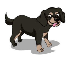 Best Puppy Training School in Minneapolis