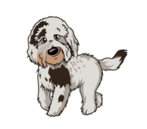 Dog training offered in Minneapolis area