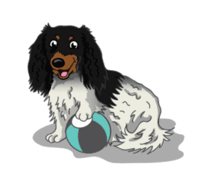 Dog training in Twin Cities, MN