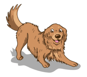 Puppy socialization serving Minneapolis, South Minneapolis, Southern and Southwestern Suburbs, MN