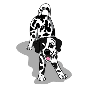 Puppy training in Minneapolis