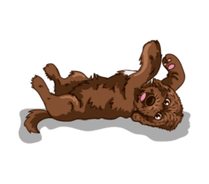 Raising puppies to be a Go Anywhere Dog®