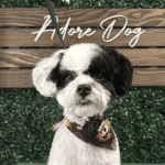 Puppy during training