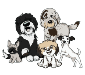 Go Anywhere Dog Puppy School Mpls – Minneapolis & Twin Cities, MN, Puppy Training