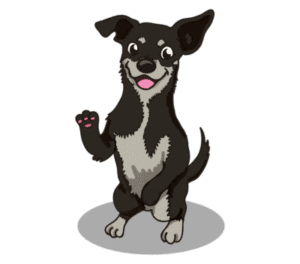 Puppy & Dog Training Near Minneapolis, Eden Prairie and surrounding suburbs – Go Anywhere Dog®, Eden Prairie, MN, Dog Training