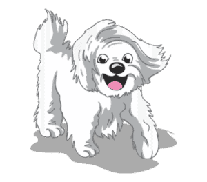 Ultimate off-leash puppy training Minneapolis – Go Anywhere Dog®, Minneapolis, MN, Puppy Training