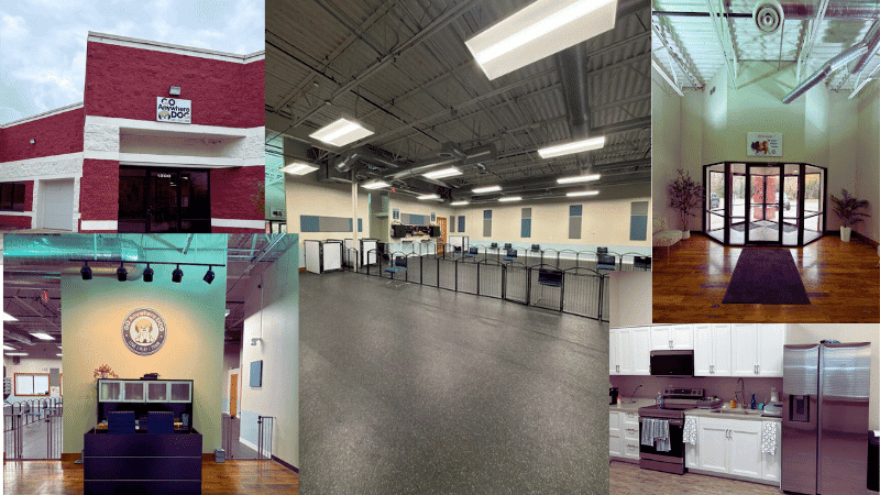 Puppy training in Eden Prairie