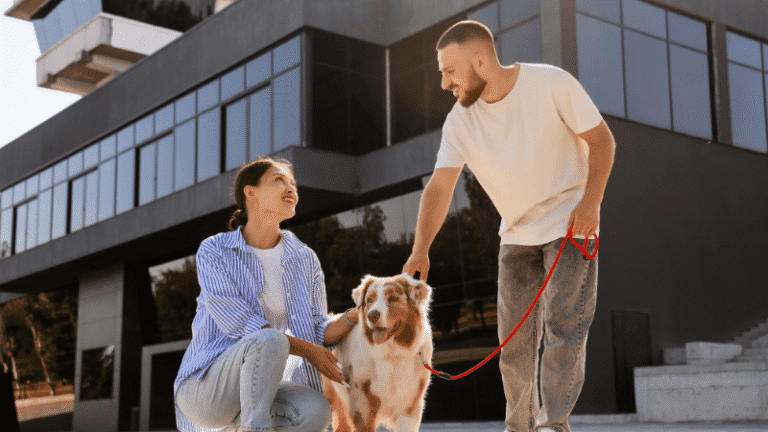 Dog and owner during training at Go Anywhere Dog