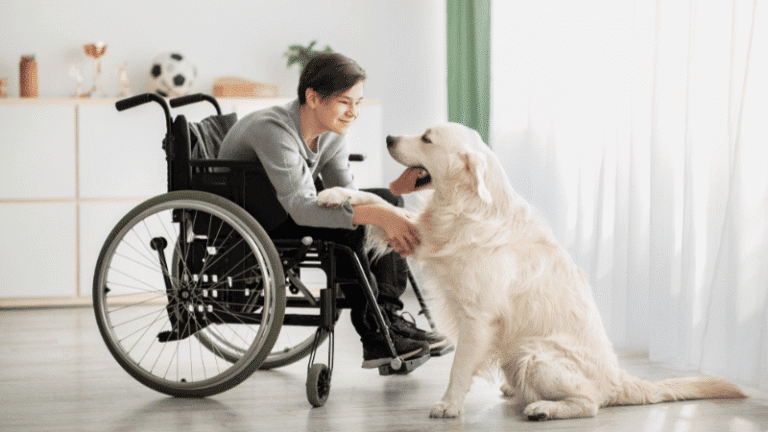 Dog and owner during training at Go Anywhere Dog in Minneapolis, Minnesota