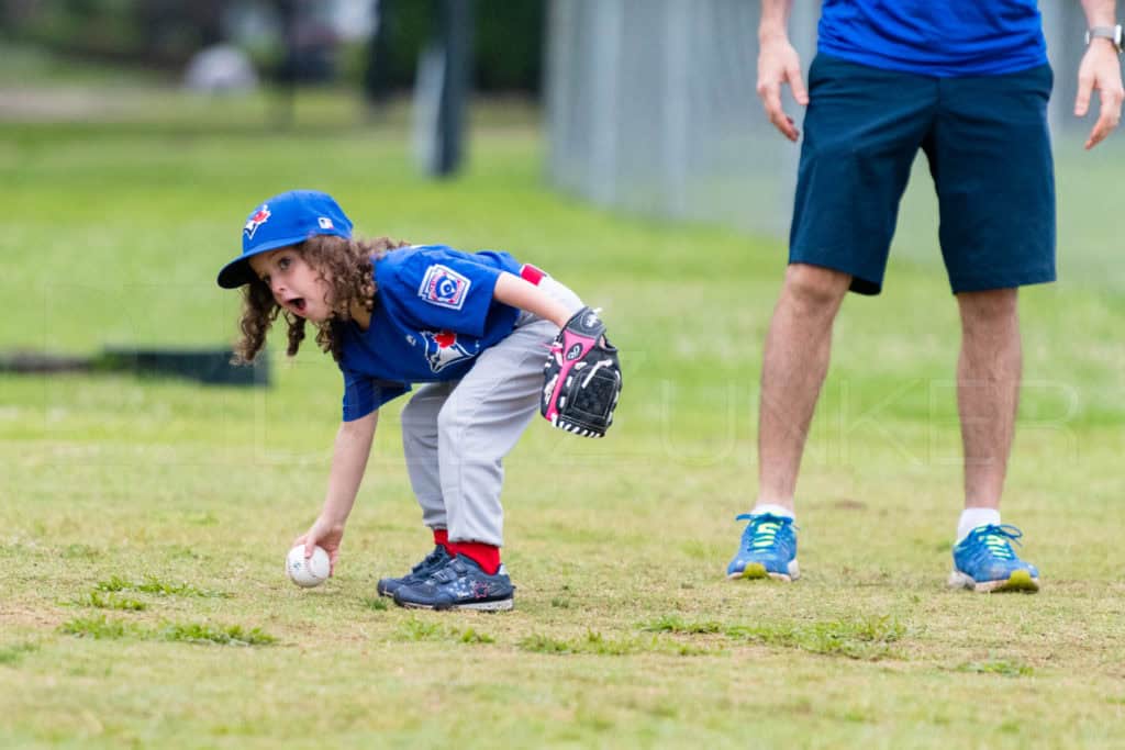 BellaireLL-20180407-TBall-Redsocks-BlueJays-010.DNG Houston Sports Photographer Dee Zunker