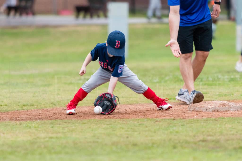 BellaireLL-20180407-TBall-Redsocks-BlueJays-123.DNG Houston Sports Photographer Dee Zunker