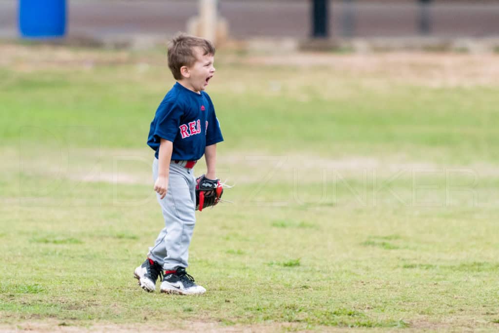 BellaireLL-20180407-TBall-Redsocks-BlueJays-136.DNG Houston Sports Photographer Dee Zunker
