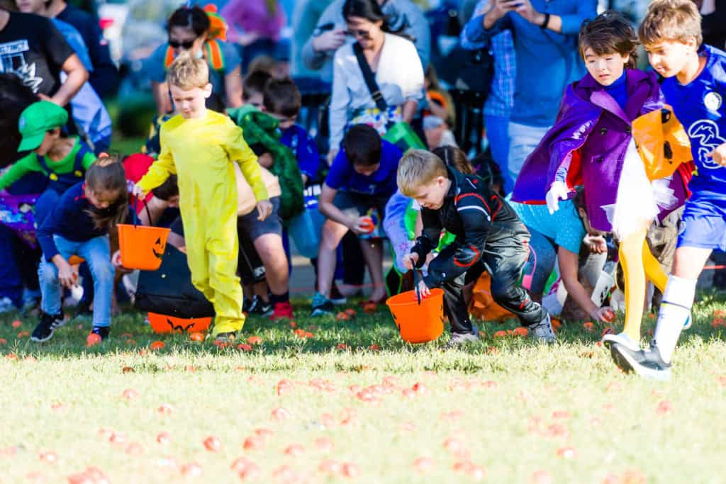3182-Bellaire-PumpkinHunt-067.NEF Houston Commercial Architectural Photographer Dee Zunker