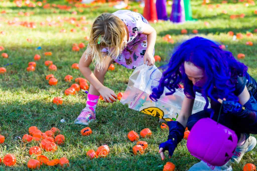 3182-Bellaire-PumpkinHunt-071.NEF Houston Commercial Architectural Photographer Dee Zunker