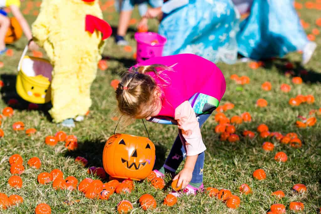 3182-Bellaire-PumpkinHunt-083.NEF Houston Commercial Architectural Photographer Dee Zunker