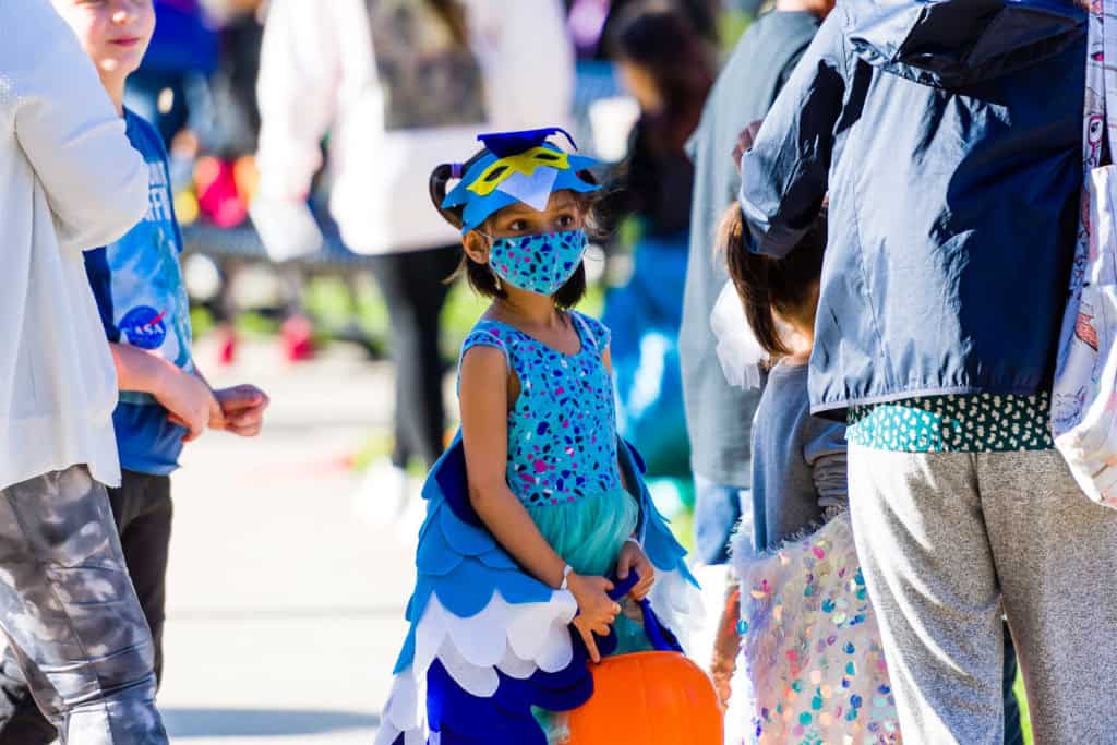 3182-Bellaire-PumpkinHunt-163.NEF Houston Commercial Architectural Photographer Dee Zunker