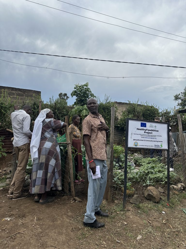 The Ambassador Model enhancing adoption of vegetable farming in urban Kisumu, Kenya – IMG 3811