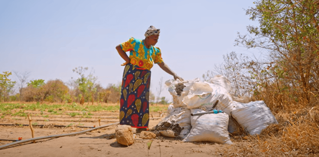 Woman looking at sacks of fertilizer
