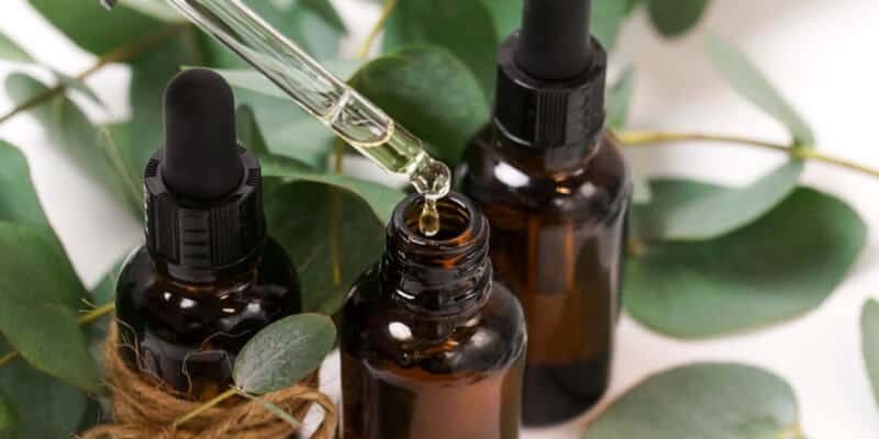 Eucalyptus essential oil bottles and leaves isolated