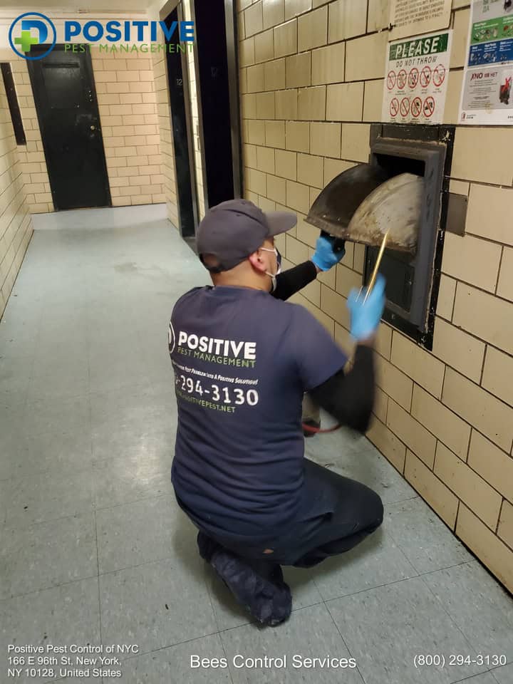 Pest control worker
