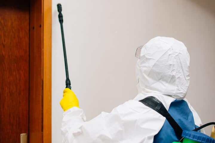 professional pest control worker doing his job pest control 