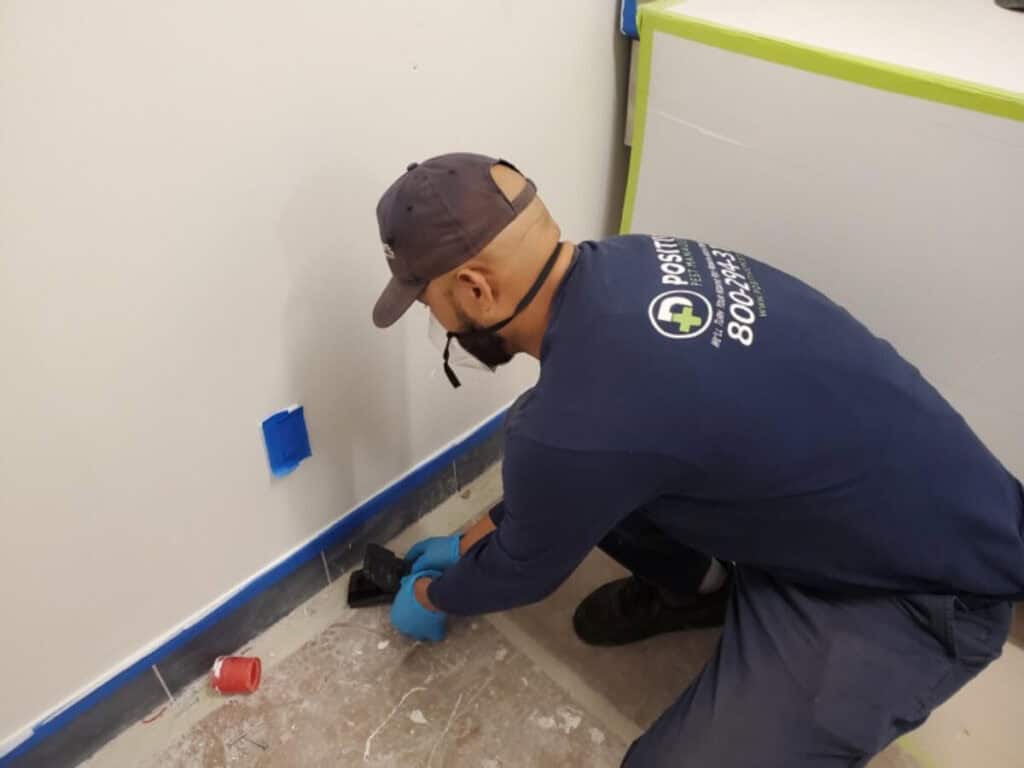 Professional pest control worker for Positive Pest Control of NYC