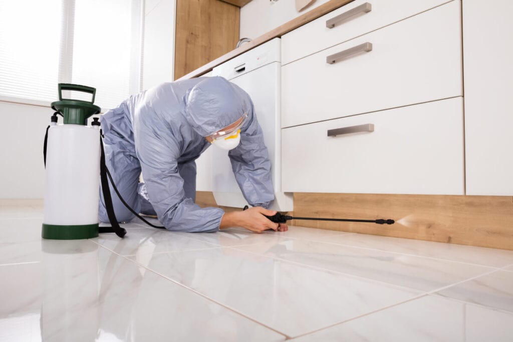 pest control worker doing his job with pesticide sprayer, pest control services