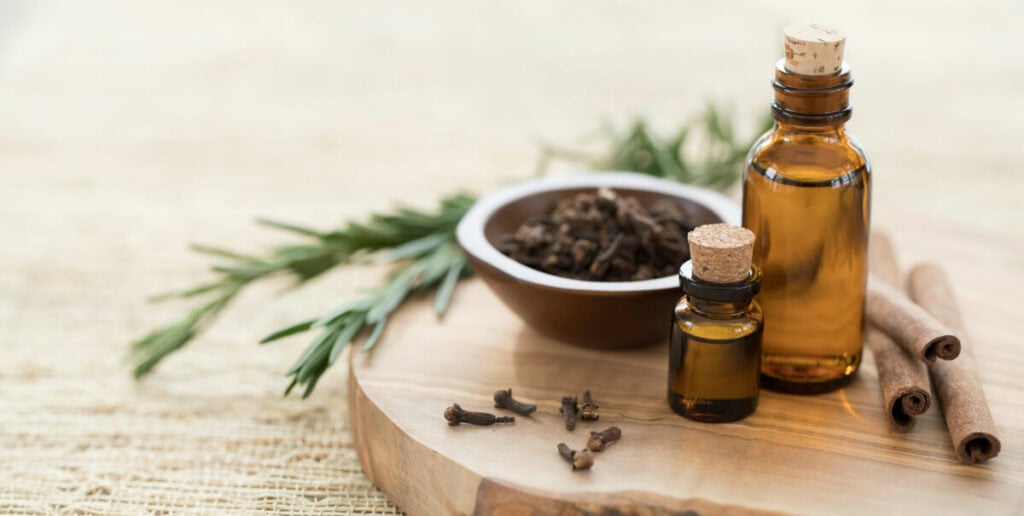 essential oils as the pest repellent for pest control in the house