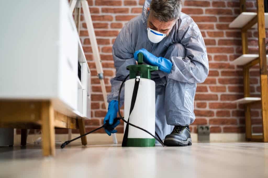 pest control worker spraying pesticide for termite indoors