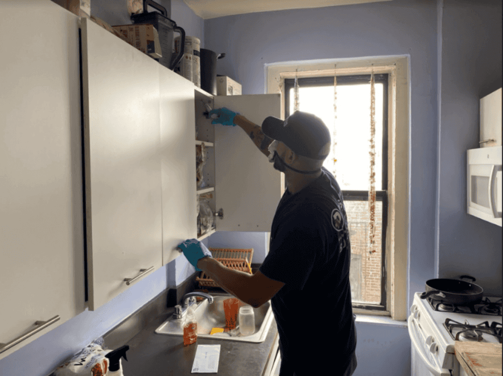 professional pest control worker for Positive Pest Control of NYC Company
