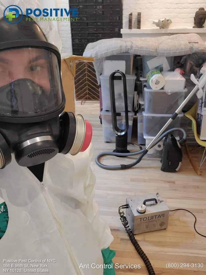 Positive Pest Management professional technician.