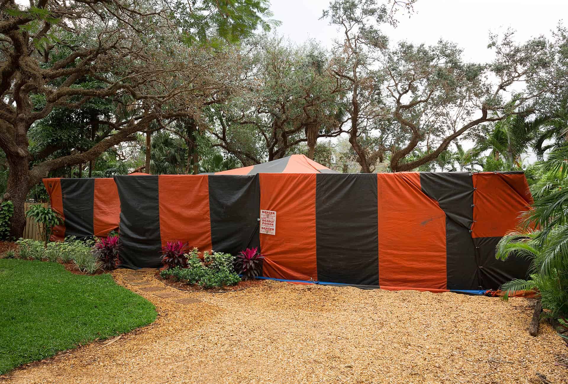 Will Neighboring Homes Be Damaged After Termite Tenting Treatment?