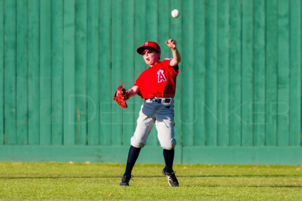 1733A-_5008058.NEF  Houston Sports Photographer Dee Zunker