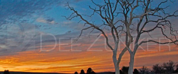 New Mexico Sunset