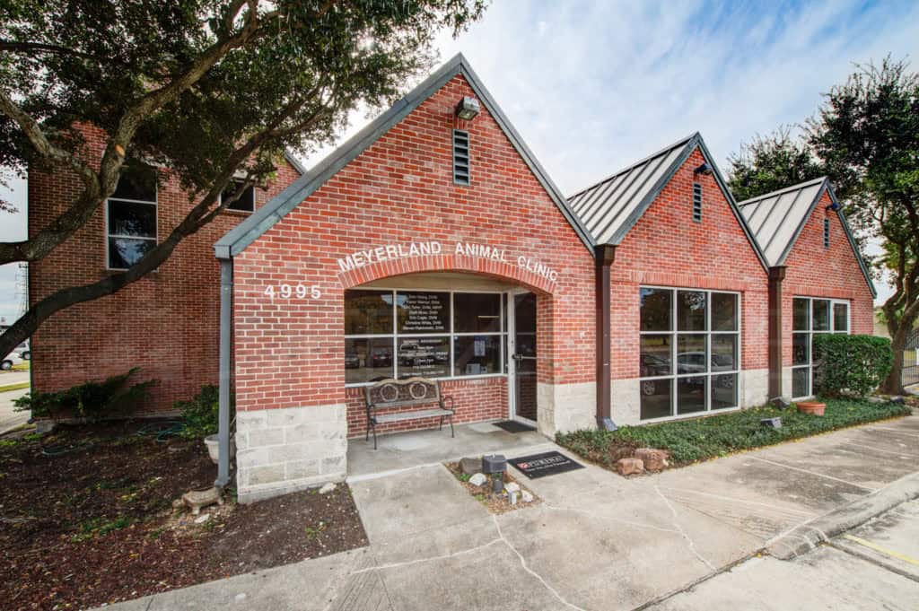 Meyerland Animal Clinic Houston Architecture Photography POI_MeyerlandAnimal_0002.tif Houston Commercial Architectural Photographer Dee Zunker