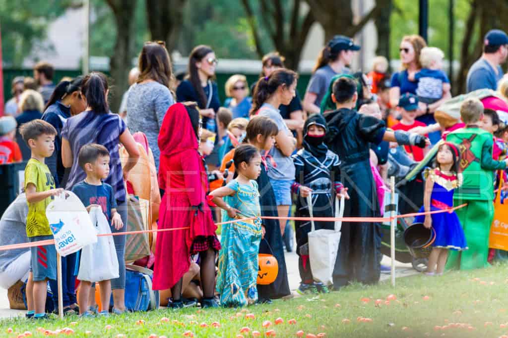 1799-CItyBellaire-PumpkinHunt-2019-019.NEF  Houston Commercial Architectural Photographer Dee Zunker