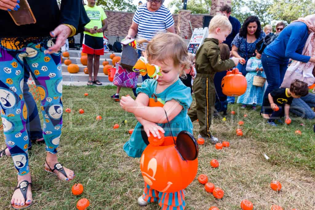 1799-CItyBellaire-PumpkinHunt-2019-047.NEF  Houston Commercial Architectural Photographer Dee Zunker