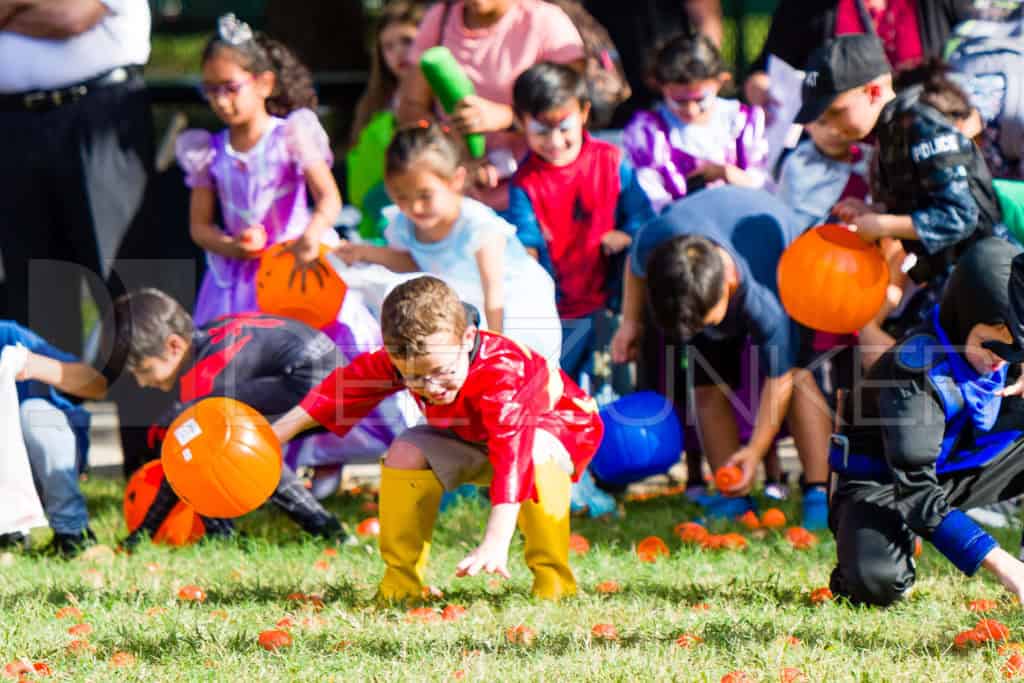 1799-CItyBellaire-PumpkinHunt-2019-051.NEF  Houston Commercial Architectural Photographer Dee Zunker