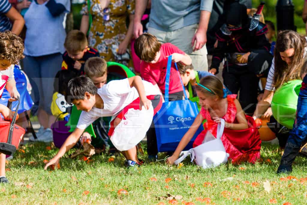 1799-CItyBellaire-PumpkinHunt-2019-053.NEF  Houston Commercial Architectural Photographer Dee Zunker