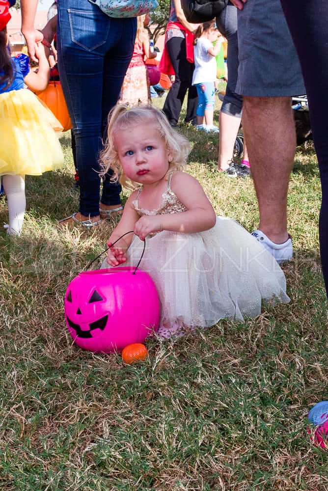 1799-CItyBellaire-PumpkinHunt-2019-068.NEF  Houston Commercial Architectural Photographer Dee Zunker