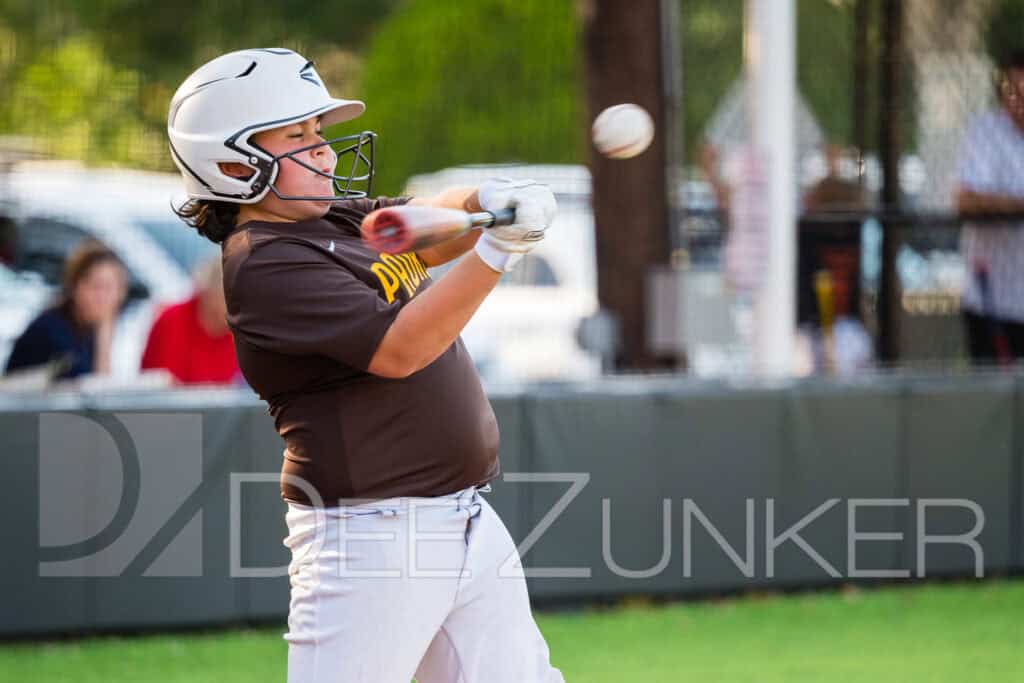 2024-BLL-NL-Giants-Padres-059.NEF  Houston Commercial Architectural Photographer Dee Zunker