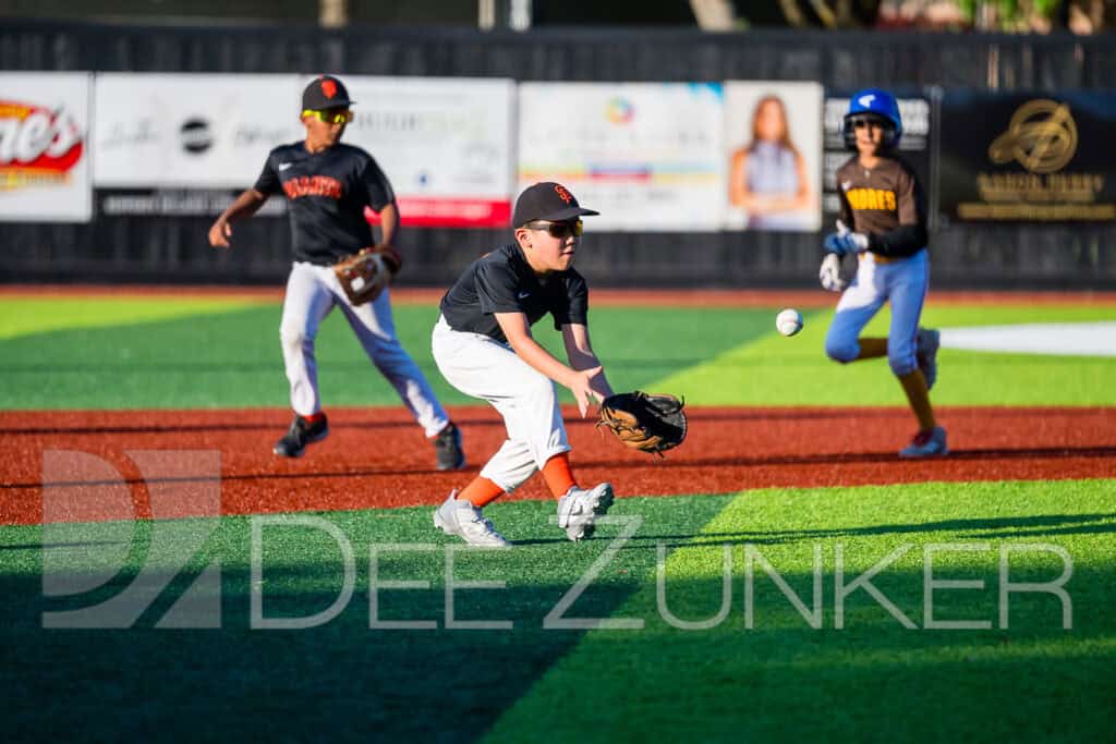 2024-BLL-NL-Giants-Padres-187.NEF  Houston Commercial Architectural Photographer Dee Zunker