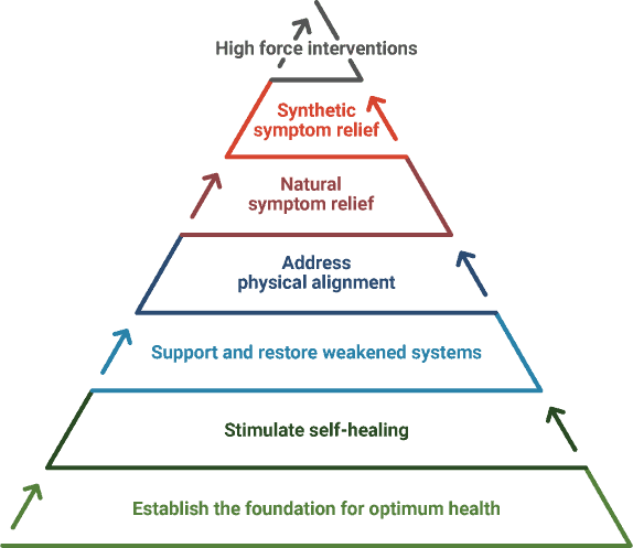 Naturopathic Therapeutic Order